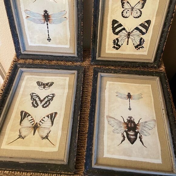 Creative Co-Op Distressed Antique Look Set of 4 Butterfly-Insect Framed Art - Picture 2 of 15